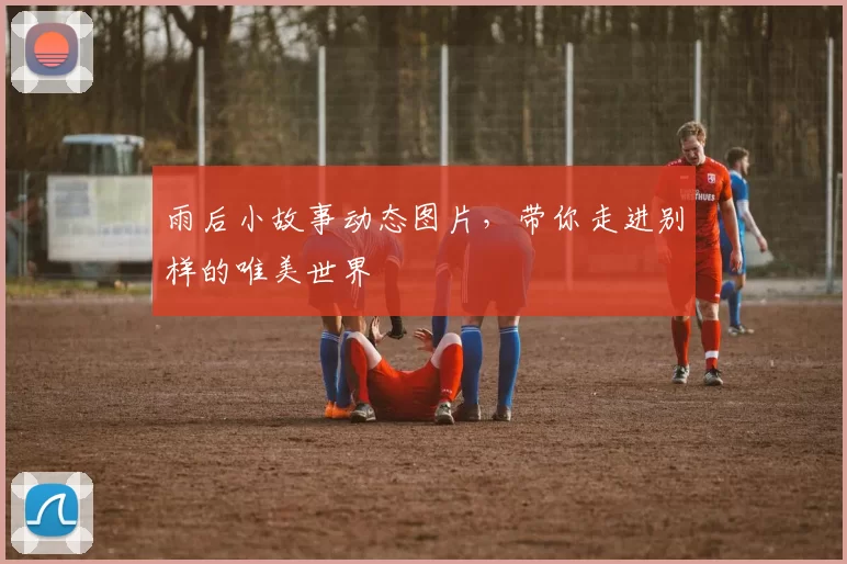 雨后小故事动态图片，带你走进别样的唯美世界