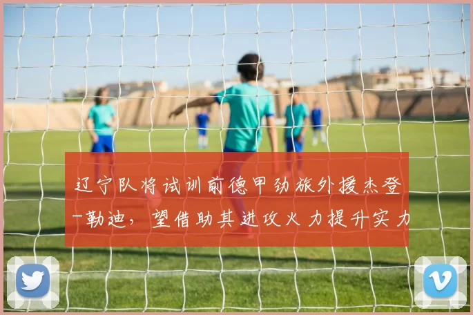 辽宁队将试训前德甲劲旅外援杰登-勒迪，望借助其进攻火力提升实力_命中率_1_CBA