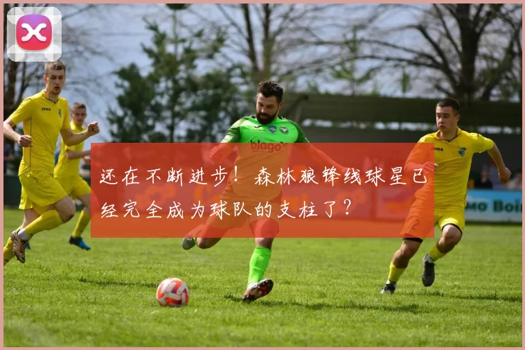 还在不断进步！森林狼锋线球星已经完全成为球队的支柱了？