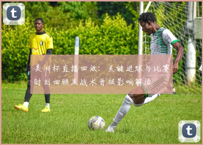美洲杯直播回放：关键进球与比赛时刻回顾及战术晋级影响解读