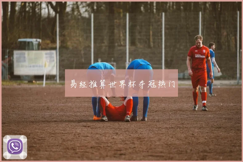 易经推算世界杯夺冠热门