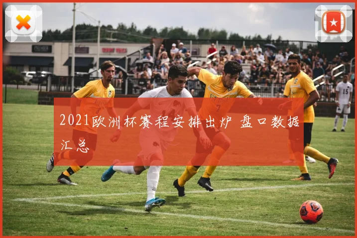 2021欧洲杯赛程安排出炉 盘口数据汇总